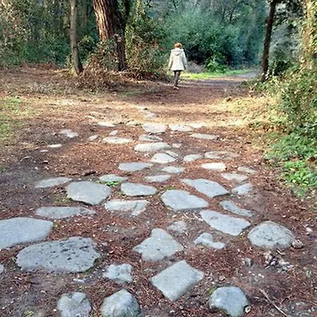 Bed & Breakfast Il Corbezzolo Ostia Antica
