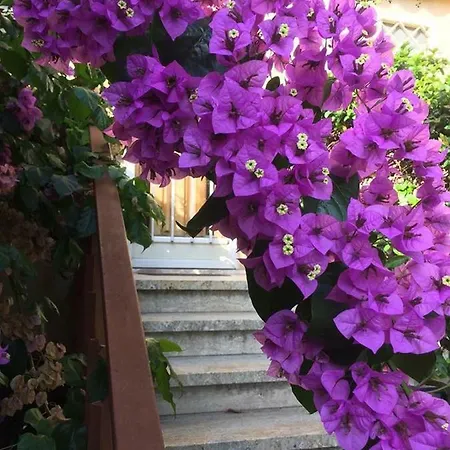 Bed & Breakfast Il Corbezzolo *